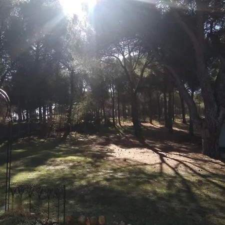 Taragudo * Laguna de Duero